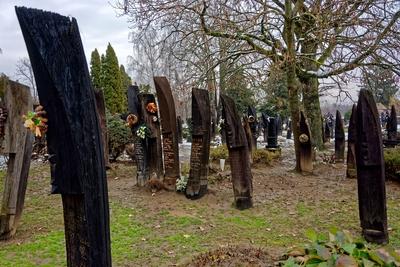 Szatmárcseke, kojafás temető-stock-foto