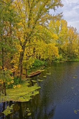 Az Öreg Túr  partján, Panyolában-stock-foto