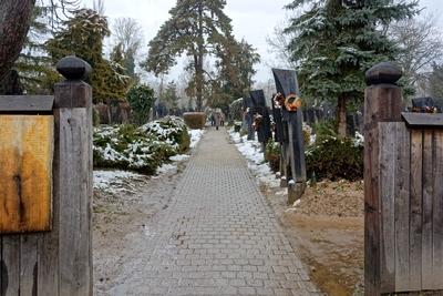 Szatmárcsekek, hatszáz, szokatlan, csónak alakú fejfa a református temetőben-stock-foto