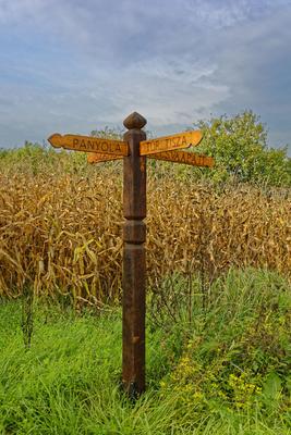 Fából készült út irány mutató kukoricás előtt, Panyolánál-stock-foto