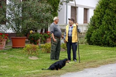 Két igazi szatmári ember meg tacskó, férfiak beszélgetnek egy leander előtt-stock-foto