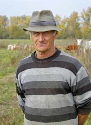 Igazi szatmári ember, férfi a legelőn, Panyolában-stock-foto
