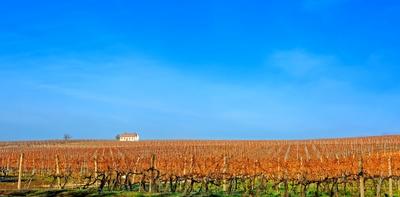 Grand Tokaj, a Tokaj-hegyaljai borvidék-stock-foto