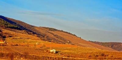 GrandGrand Tokaj,  Tokaj-Hegyalja Magyarország egyik legszebb borvidéke,-stock-photo