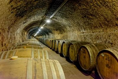 Grand Tokaj, Szegi pince-stock-foto