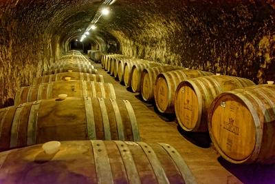 Grand Tokaj, fahordók a hatalmas Szegi pincében-stock-foto