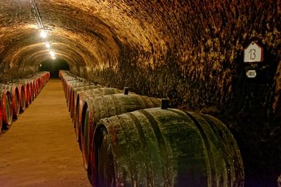 Grand Tokaj, 13-mas pince folyosó régi fahordókkal  a Szegi pincében-stock-foto