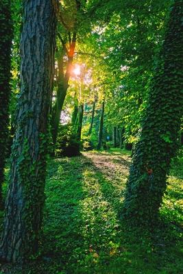 Keszthely-stock-foto