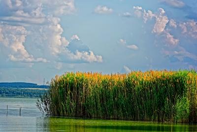 Balatongyörök-stock-foto