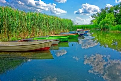 Színes evező csónakok a balatonon zöld nádas előtt Balatongyörökön-stock-foto