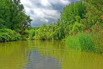 Szigetköz Natúrpark-stock-foto