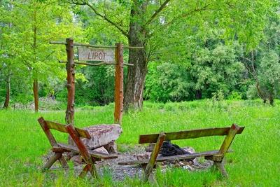 Szigetköz Natúrpark-stock-photo