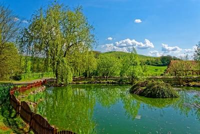 Falusi tavacska-stock-foto