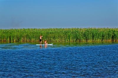 Tisza-tó Sarud, egy fiu és egy lány egy wakeboardon zöld nádas elõtt-stock-photo