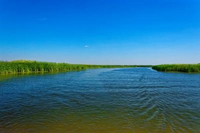 Tisza-tó, Sarudnál széles vízicsatorna zöld nádassal-stock-foto
