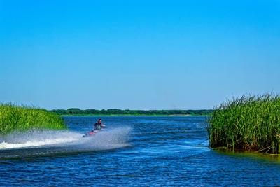 Tisza-tó Sarudnál, száguldó jet-ski vezetõ zöld nádas közt-stock-foto