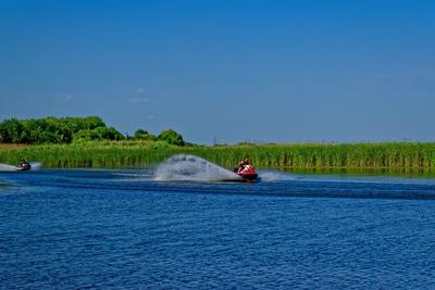 Tisza-tó Sarudnál két jet-ski vezetõ a zöld nádas elõtt száguldanak-stock-foto