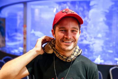 NFT képkollekció bemutatója-stock-foto