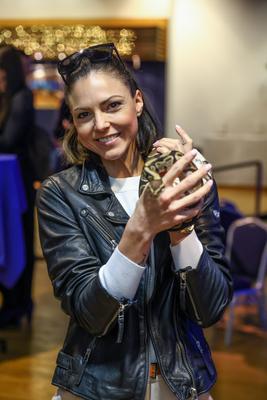 NFT képkollekció bemutatója-stock-foto