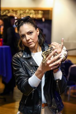 NFT képkollekció bemutatója-stock-foto