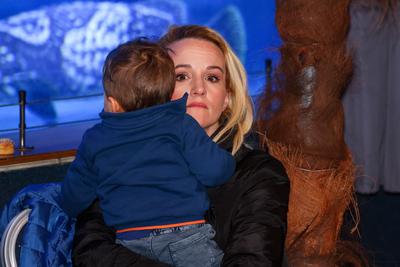 NFT képkollekció bemutatója-stock-foto