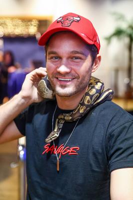 NFT képkollekció bemutatója-stock-foto