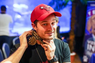 NFT képkollekció bemutatója-stock-foto