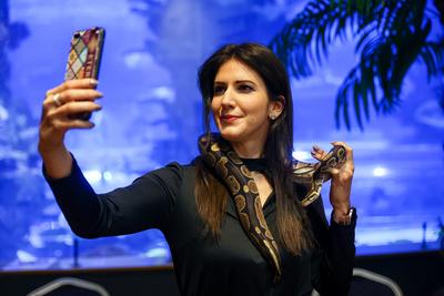 NFT képkollekció bemutatója-stock-foto