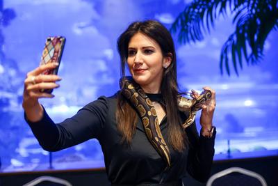 NFT képkollekció bemutatója-stock-foto