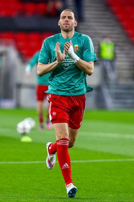 Hungary v Serbia - International Friendly-stock-photo