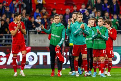 Hungary v Serbia - International Friendly-stock-photo