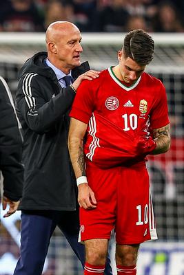 Hungary v Serbia - International Friendly-stock-foto