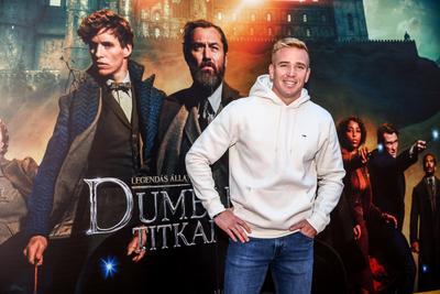 LEGENDÁS ÁLLATOK- DUMBLEDORE TITKAI- magyarországi gálapremier-stock-photo