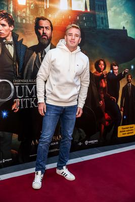 LEGENDÁS ÁLLATOK- DUMBLEDORE TITKAI- magyarországi gálapremier-stock-photo