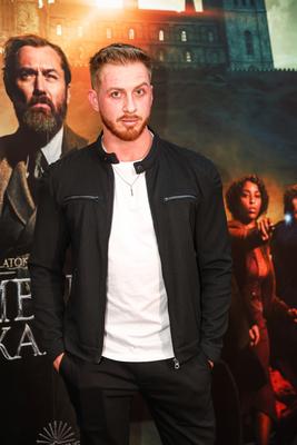 LEGENDÁS ÁLLATOK- DUMBLEDORE TITKAI- magyarországi gálapremier-stock-foto