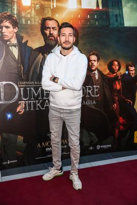 LEGENDÁS ÁLLATOK- DUMBLEDORE TITKAI- magyarországi gálapremier-stock-foto