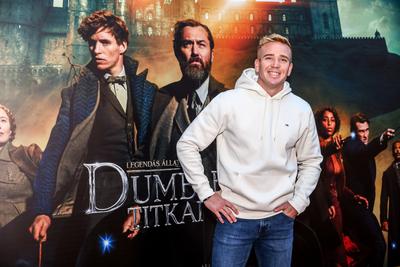 LEGENDÁS ÁLLATOK- DUMBLEDORE TITKAI- magyarországi gálapremier-stock-foto
