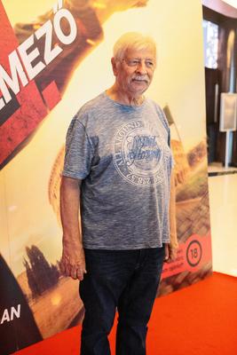 Védelmező 3. magyaroszági premierje.-stock-foto