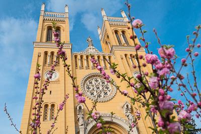 Fót, Szeplőtelen fogantatás templom-stock-foto