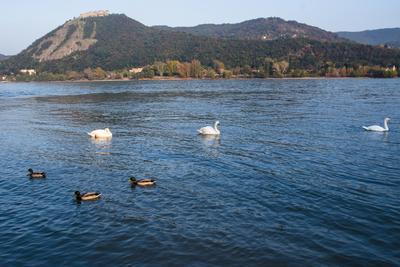 Visegrád és a Fellegvár látványa-stock-foto