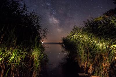 A tejút látképe a Kis-Balaton nádasából.-stock-foto