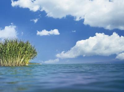 balatoni tájkép-stock-foto