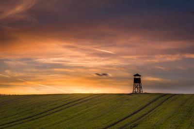Vadászles alkonyi fényekkel-stock-foto