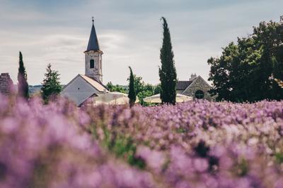 Dörgicse-stock-foto