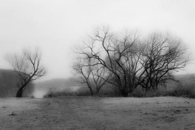 Ködös téli táj-stock-foto