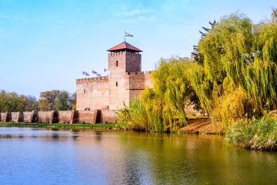 The only remaining brick-built medieval fortress. In front of the castle is a boating lake and a huge willow tree in autumn. Hungary, Gyula-stock-photo