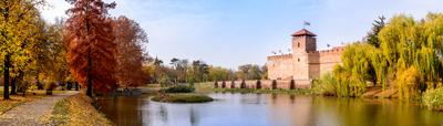The only remaining brick-built medieval fortress. In front of the castle is a boating lake and a huge willow tree in autumn. Panorama view, Hungary, Gyula-stock-photo