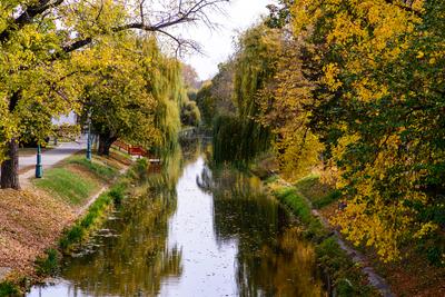 The city canal across a huge willow trees in autumn. Hungary, Gyula-stock-photo