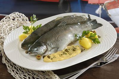 Pisztráng kékre fôzve, hollandi mártással-stock-foto