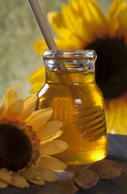 napraforgó-stock-foto